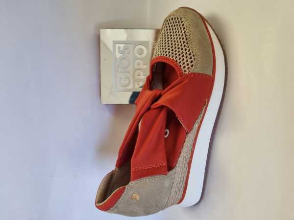 171754 (Collection)