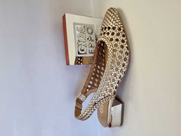171929 (Collection)