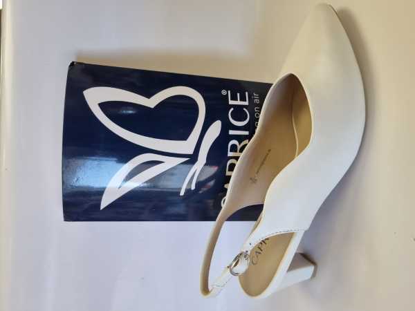 173239 (Collection)