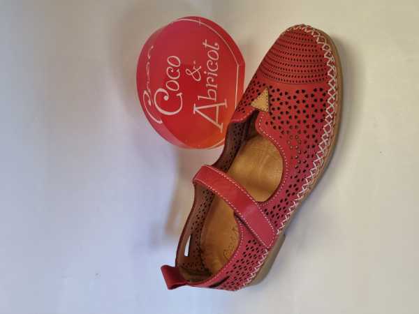 173710 (Collection)