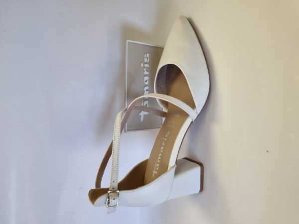 173950 (Collection)