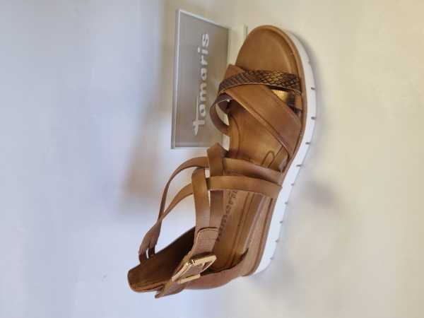 174901 (Collection)
