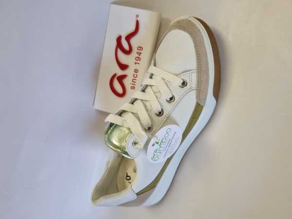 175823 (Collection)