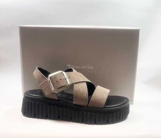 IMG E2161 (Collection)