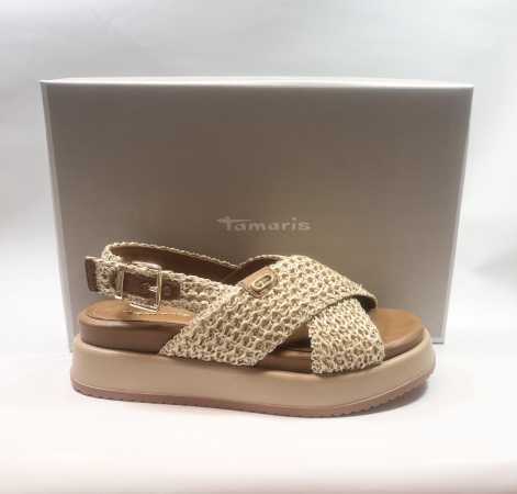 IMG E2165 (Collection)