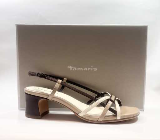 IMG E2167 (Collection)