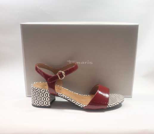 IMG E2168 (Collection)