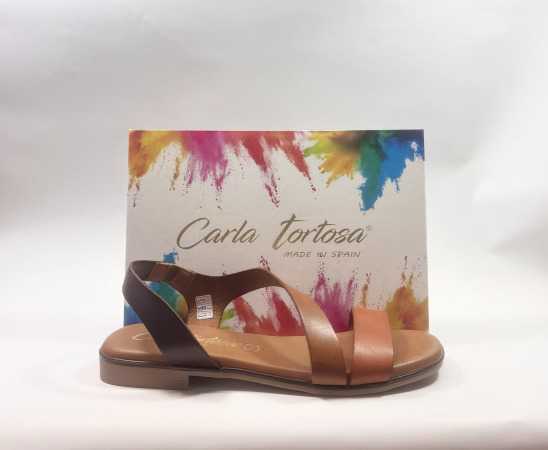 IMG E2202 (Collection) (Collection)