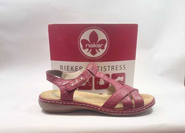 IMG E2212 (Collection) (Collection)