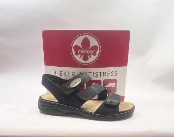 IMG E2217 (Collection) (Collection)