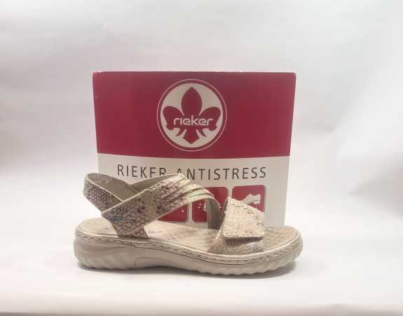 IMG E2218 (Collection) (Collection)