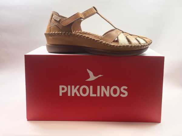 IMG E2261 (Collection)