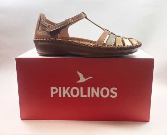 IMG E2264 (Collection)