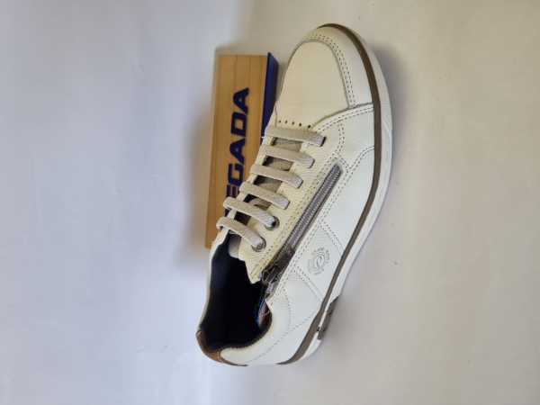113237 (Collection)