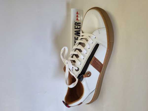 113439 (Collection)